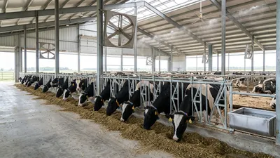 How to Increase Milk Production in Dairy Cows (7 Proven Strategies)